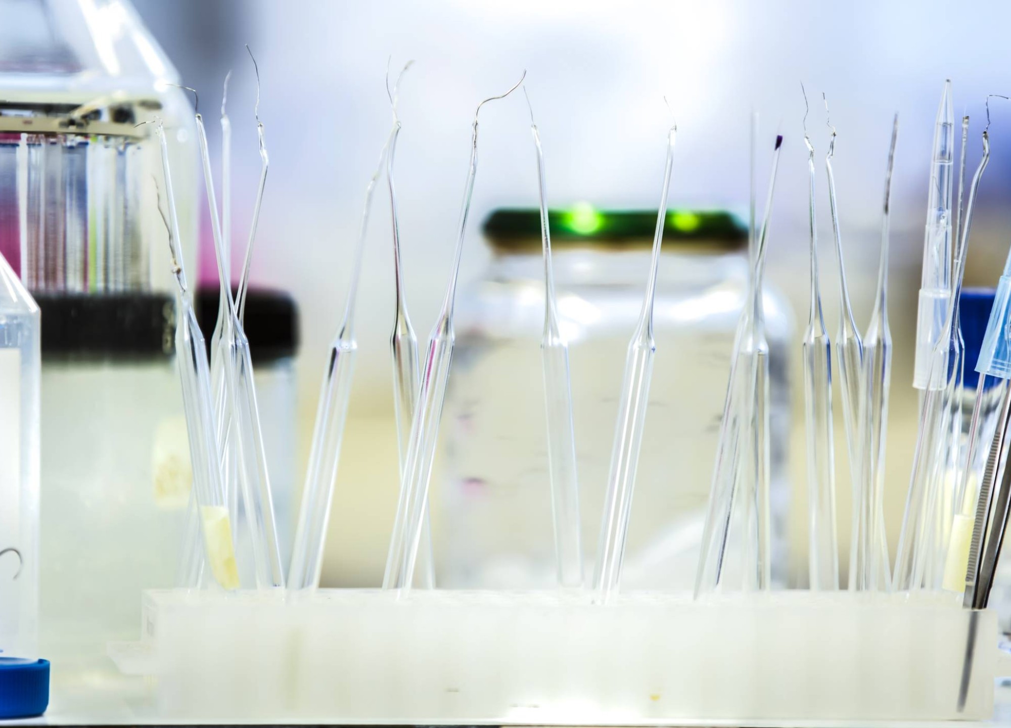 Pipettes in a rack are typical tools used in the natural sciences laboratory
