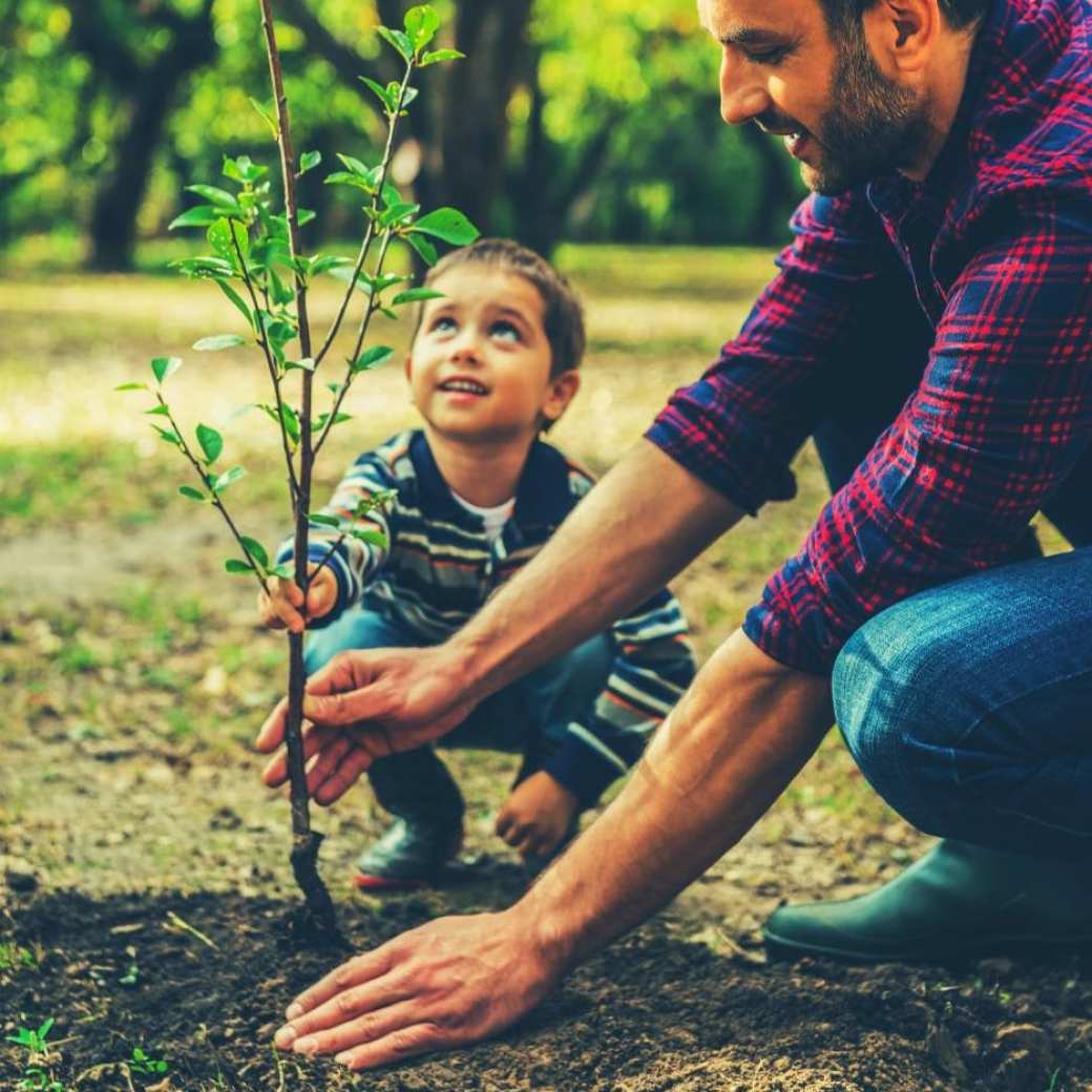 243232 Foto van man en kind die samen een boom planten