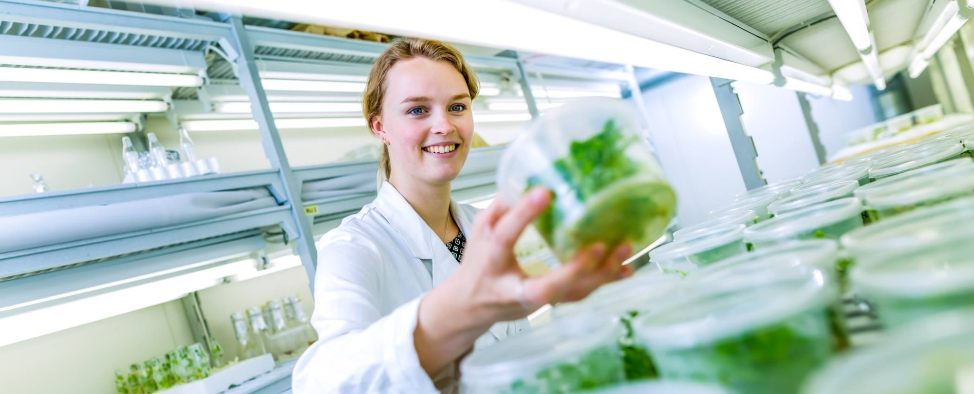 biologie en medisch laboratoriumonderzoek student plantenpracticum laboratorium