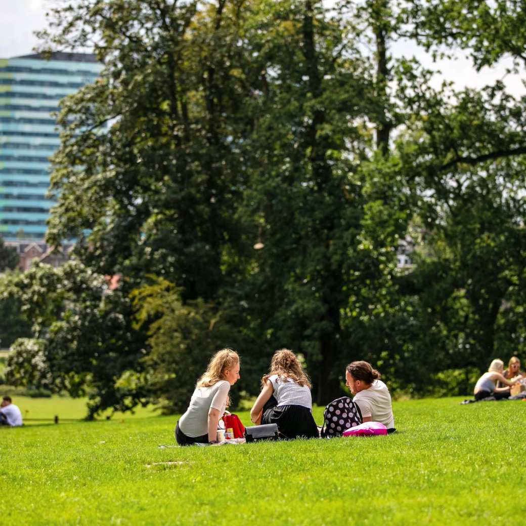 International students laying on the grass in the park in Arnhem, the Netherlands