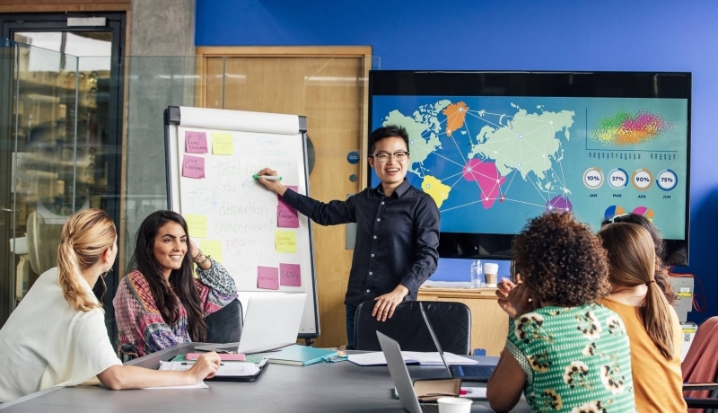 Job Options with an International Social Work Degree at HAN University of Applied Sciences