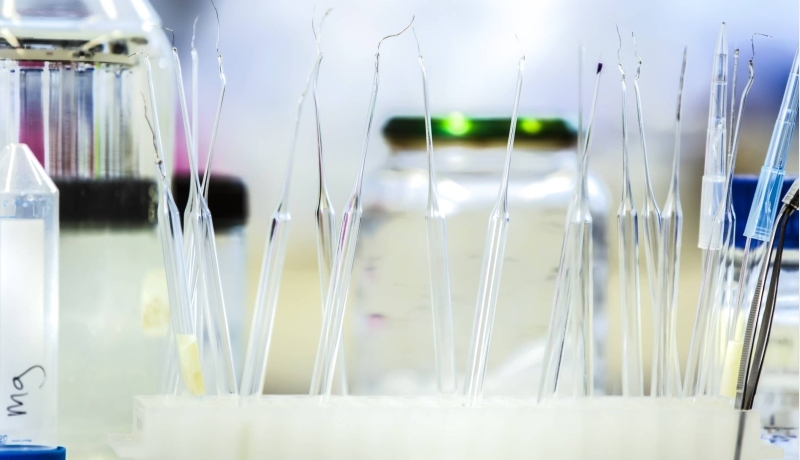 Pipettes in a rack are typical tools used in the natural sciences laboratory