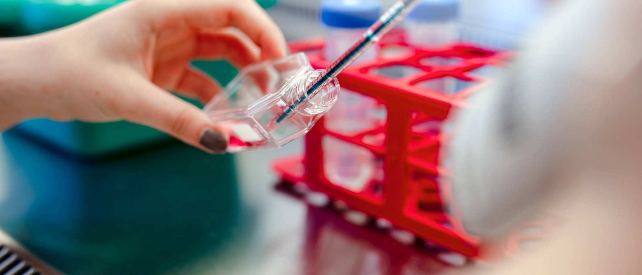 Student houdt pipet vast