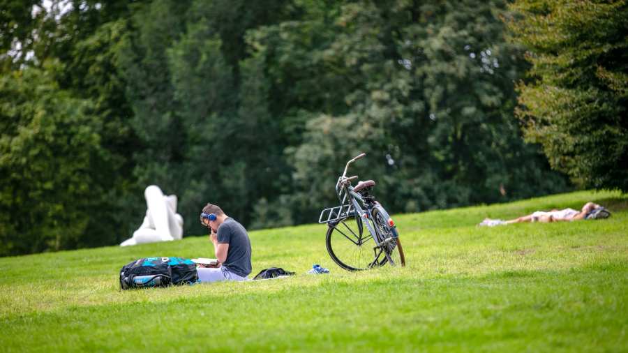 HAN University of Applied Sciences, student relaxing in park