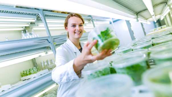 Han Science Study natural sciences | HAN University of Applied Sciences