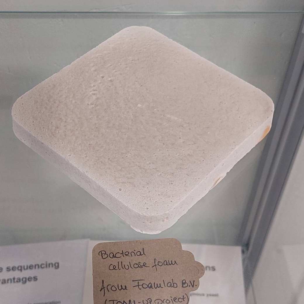 Foto van foam gemaakt van bacterieel cellulose voor het project Foam-up van lectoraat biobased innovations.
