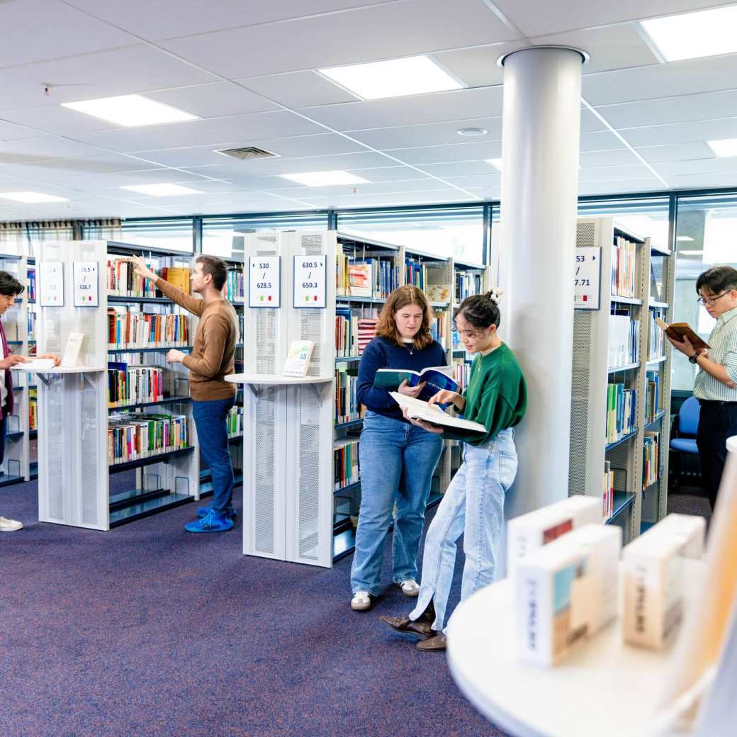 International HAN students in the library