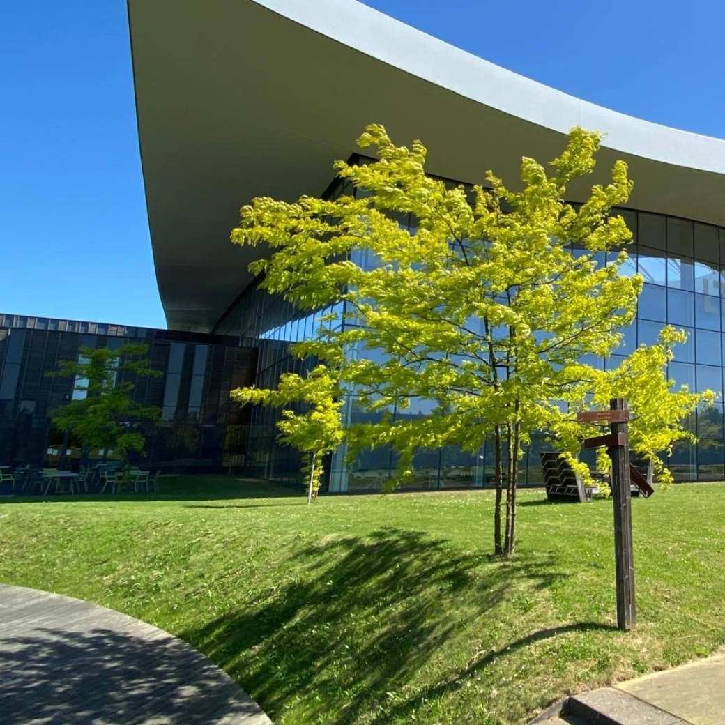 het moderne, duurzame gebouw van Alliander in Duiven