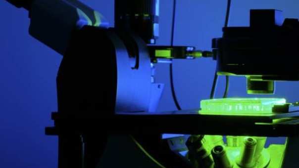 Organoid, microscoop en labonderzoek staan voor drug discovery.