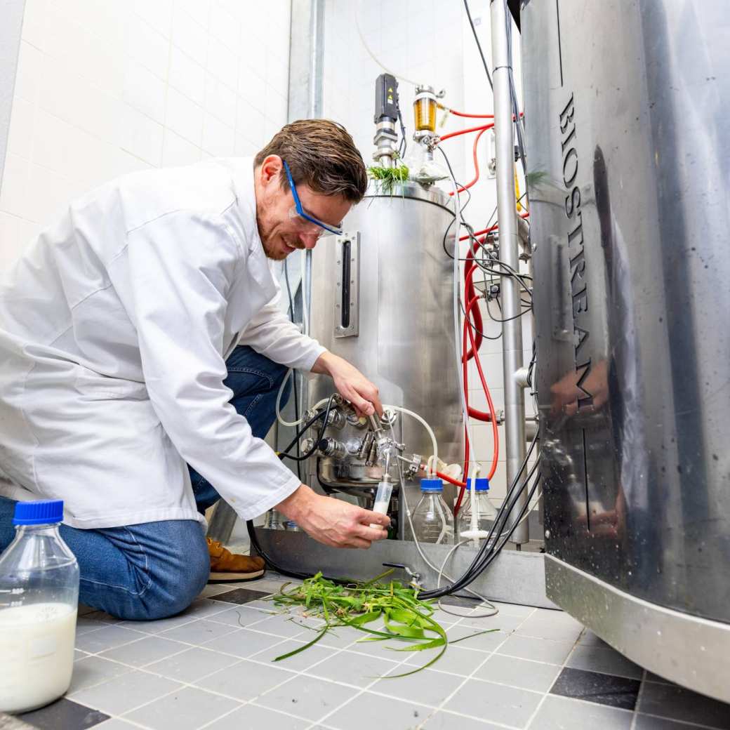 Foto's van het fermentatielab met bioreactoren en de gallery