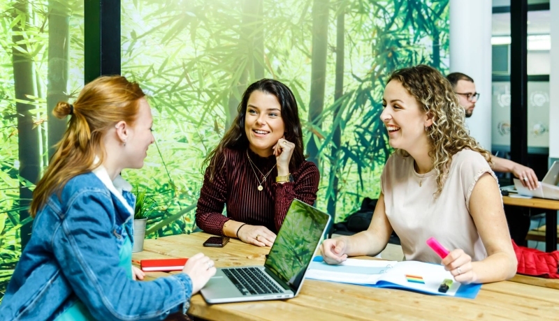 Subjects and a program of the International Business Bachelor at HAN University of Applied Sciences in the Netherlands
