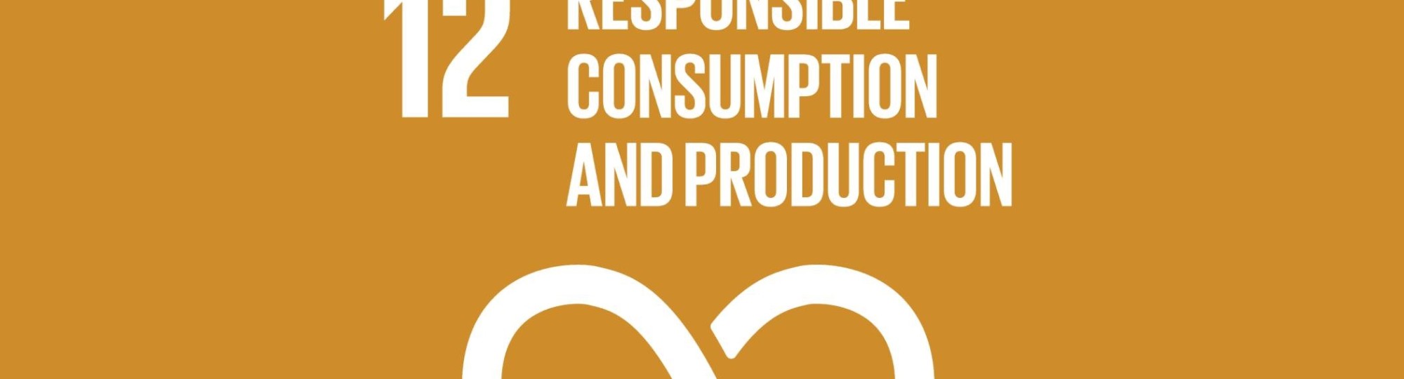 sustainable development goals 12: verantwoorde consumptie en productie, responsible consumption and production. Verenigde Naties. SDG's.