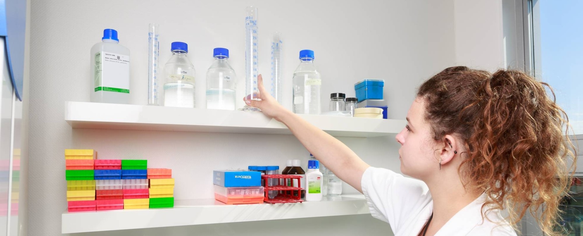 impression application of knowlegde from the Molecular Biology course